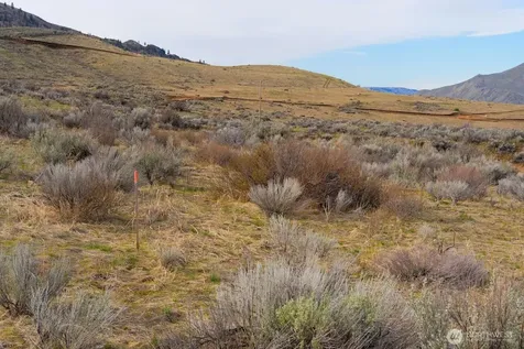0 Parcel A Mcneil Canyon Road Orondo WA 98816
