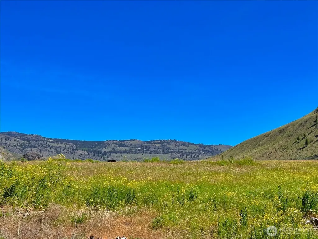 108 Tbd Eastlake Road Oroville WA 98844