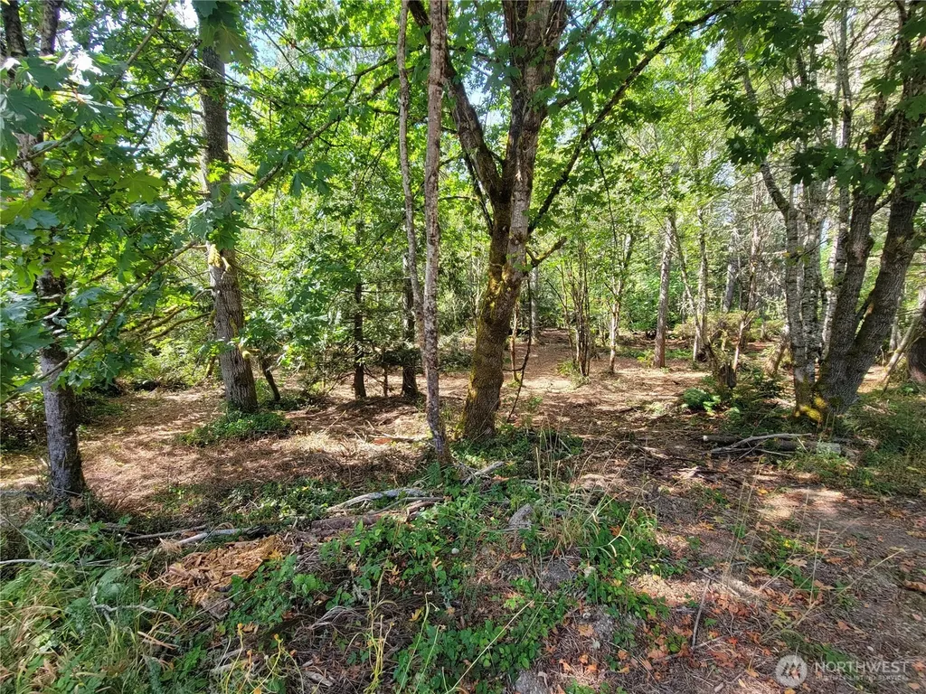 900 E Wilson Way Grapeview WA 98546