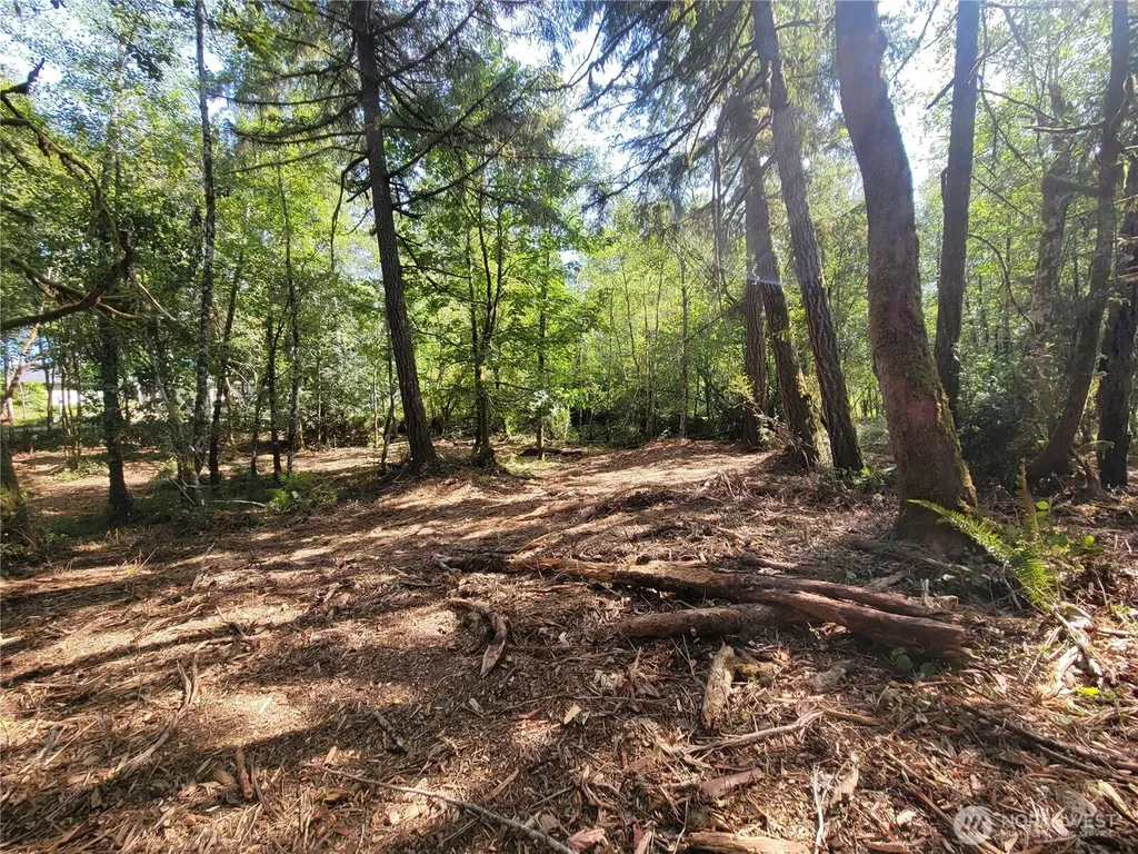 900 E Wilson Way Grapeview WA 98546