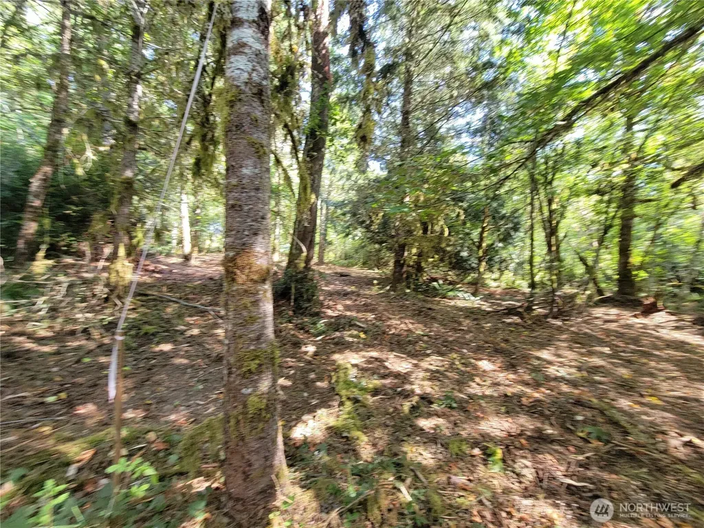 900 E Wilson Way Grapeview WA 98546