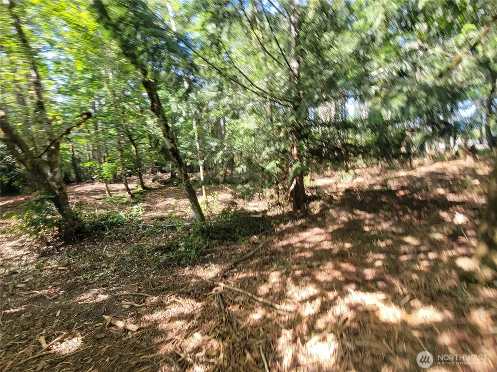 900 E Wilson Way Grapeview WA 98546