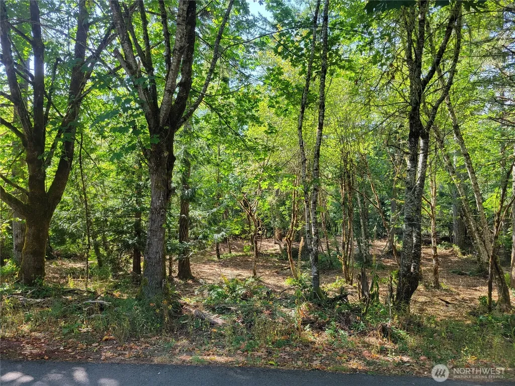 900 E Wilson Way Grapeview WA 98546