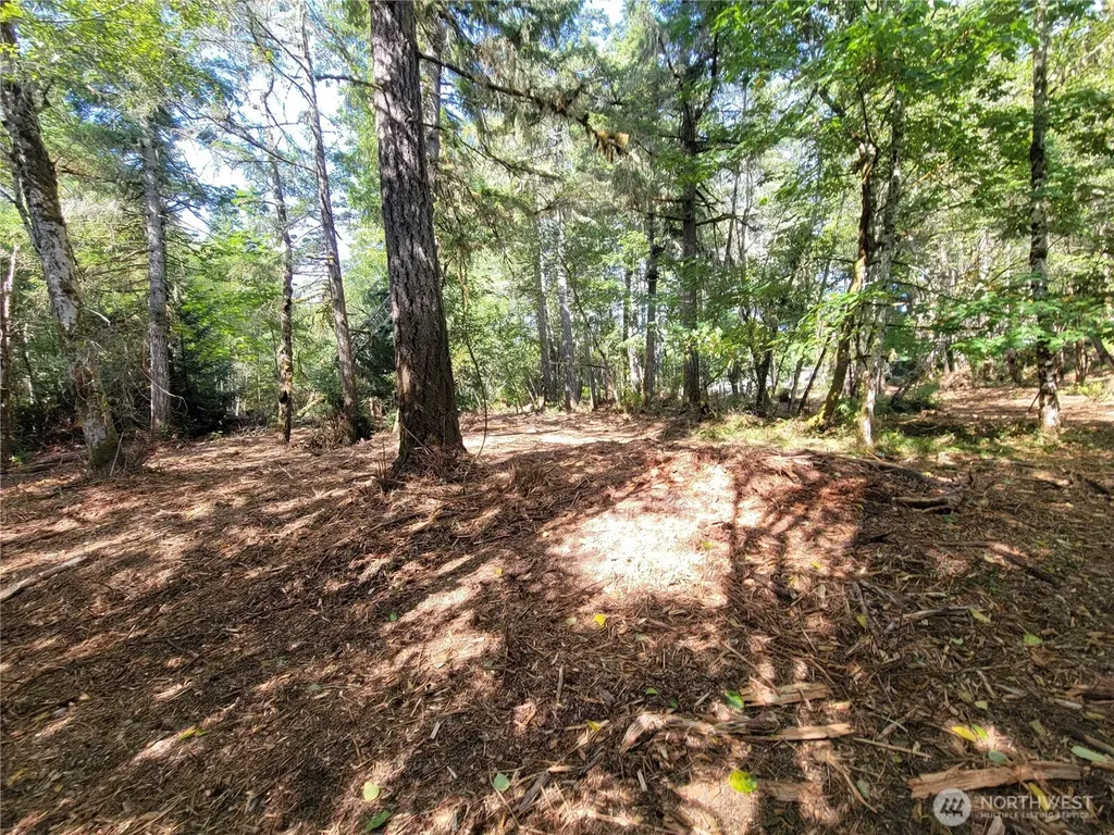 900 E Wilson Way Grapeview WA 98546