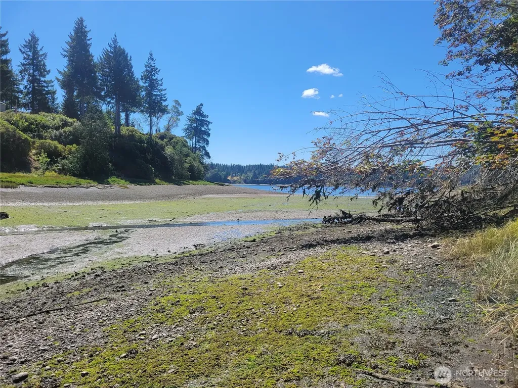 900 E Wilson Way Grapeview WA 98546