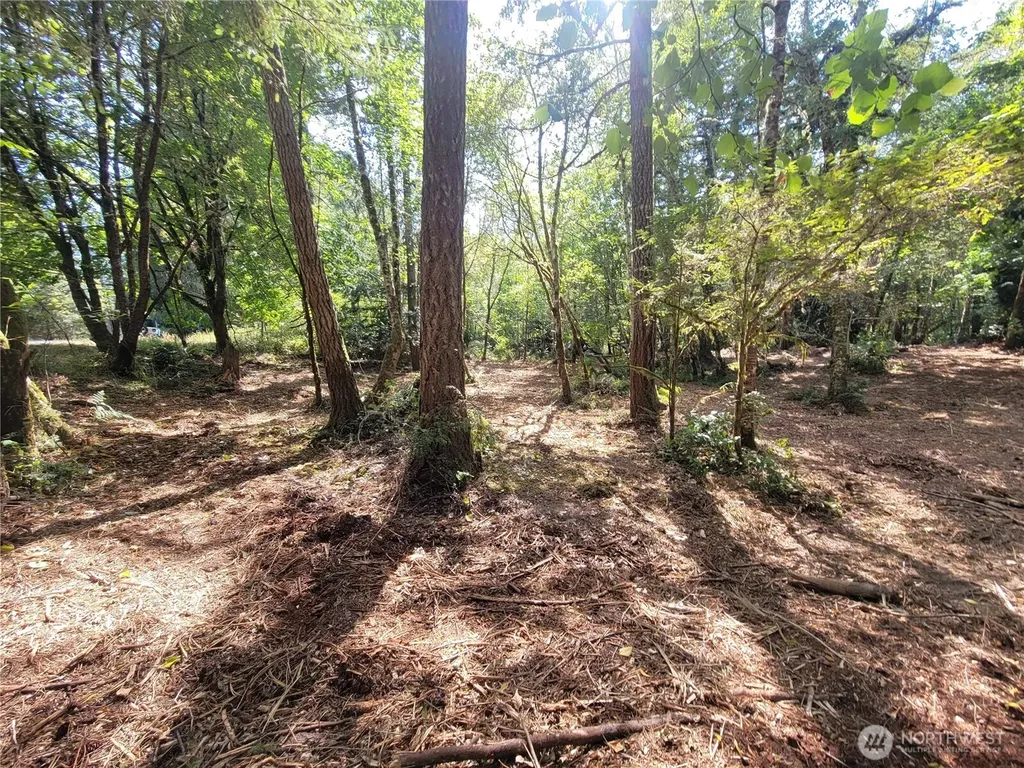 900 E Wilson Way Grapeview WA 98546