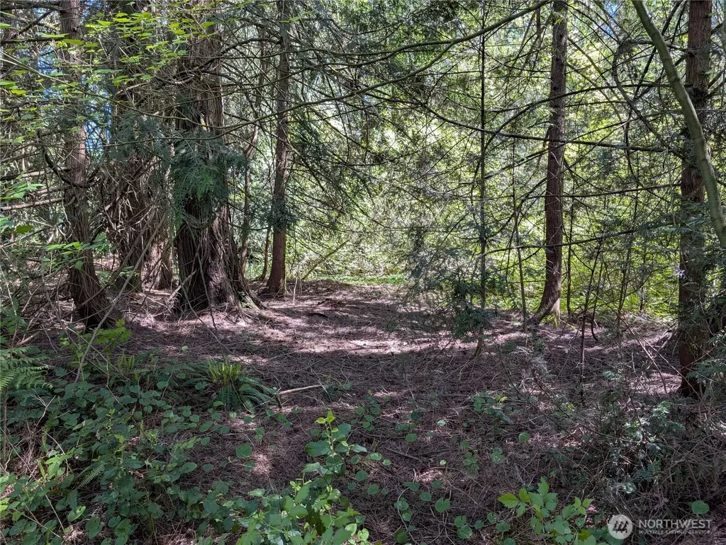 0 Xxx Trosper Road SW Tumwater WA 98512