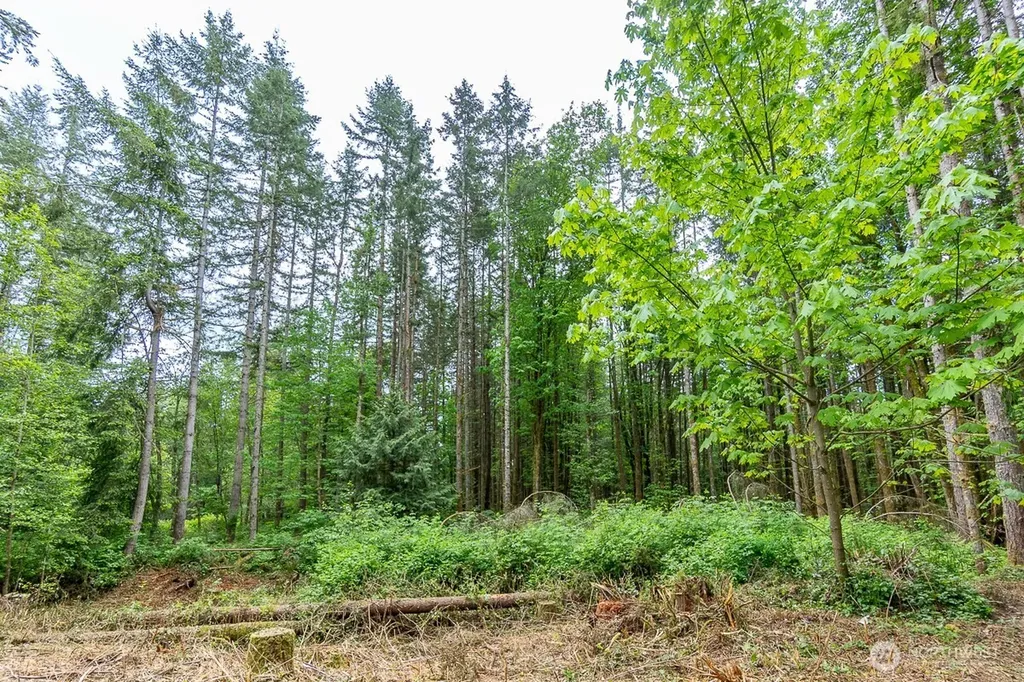 3804 129th Place NW Tulalip WA 98271