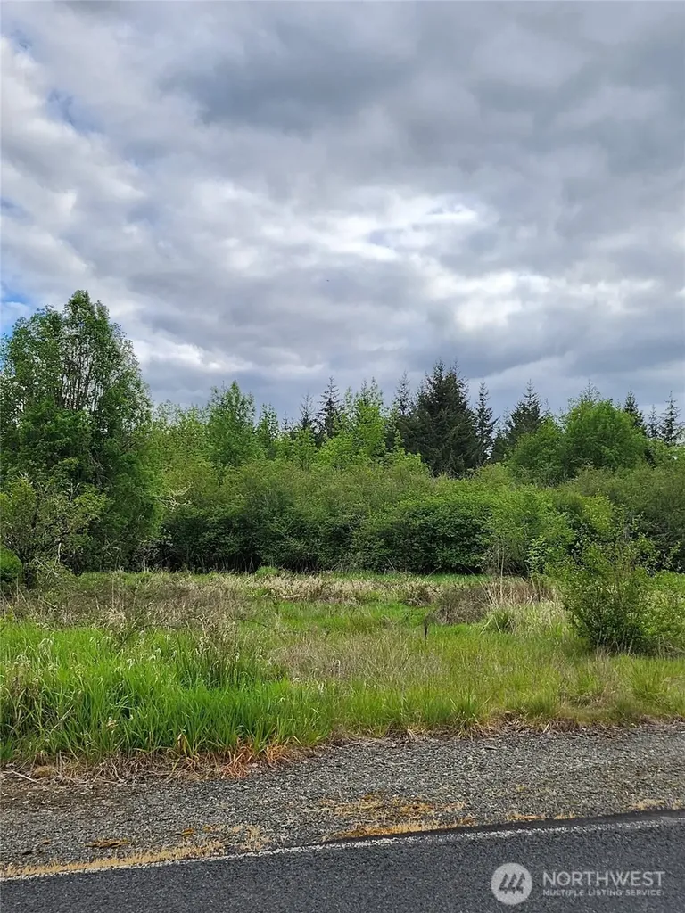 0 Henriot Road Toledo WA 98591