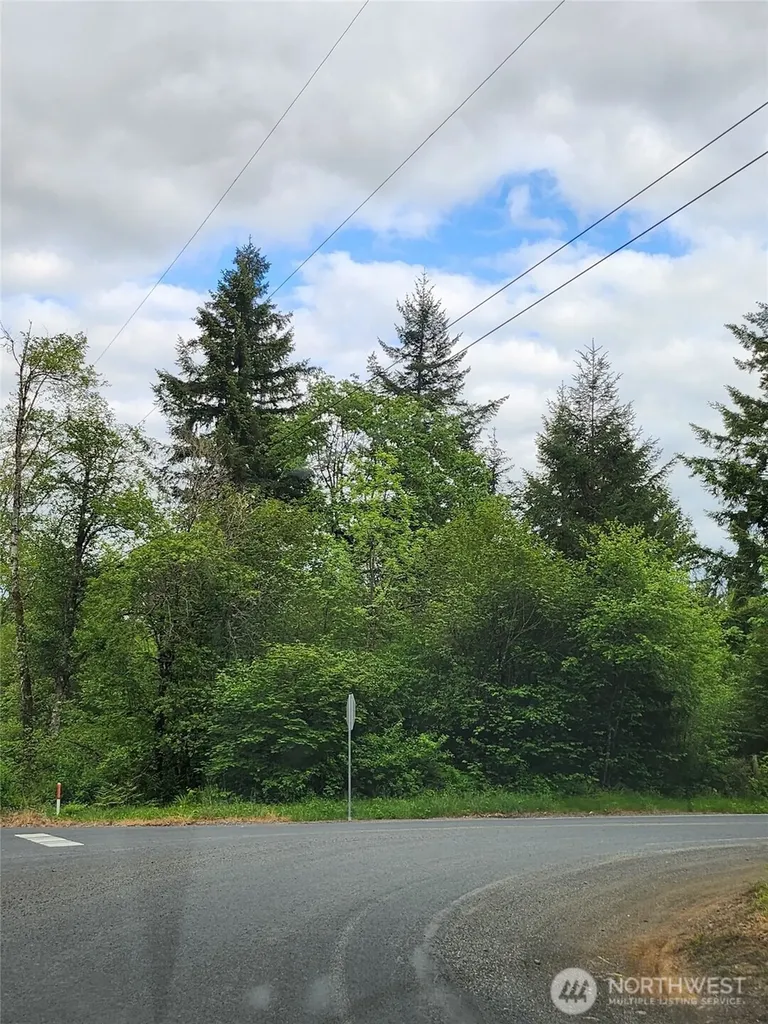 0 Henriot Road Toledo WA 98591