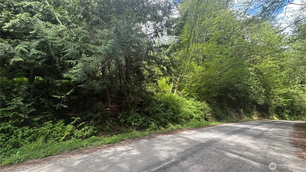 0 Peak Drive Sedro Woolley WA 98284