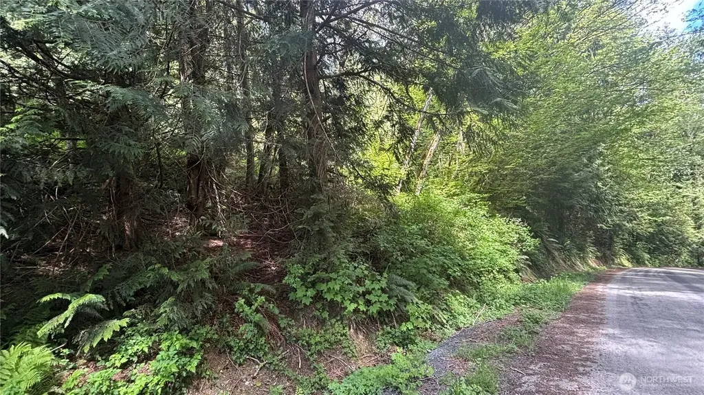0 Peak Drive Sedro Woolley WA 98284