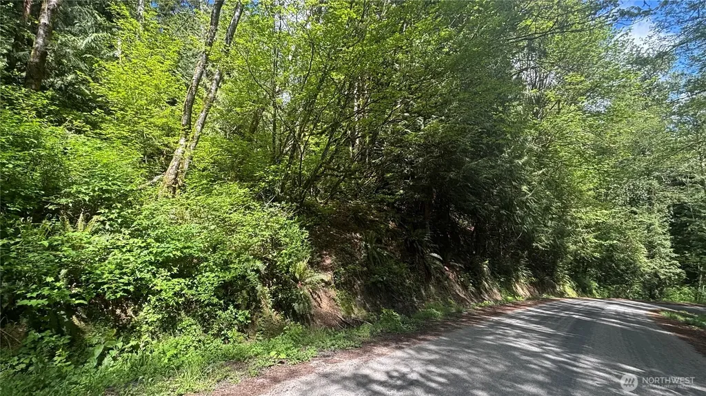 0 Peak Drive Sedro Woolley WA 98284