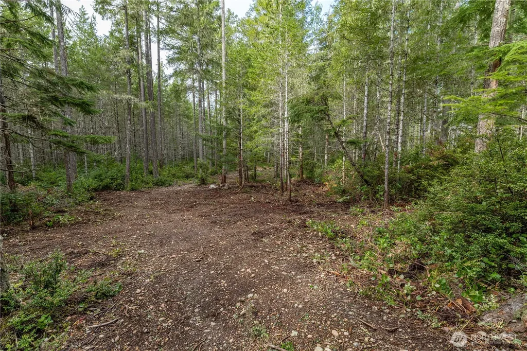 230 E Blackberry Lane Union WA 98592