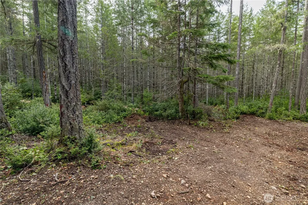 230 E Blackberry Lane Union WA 98592