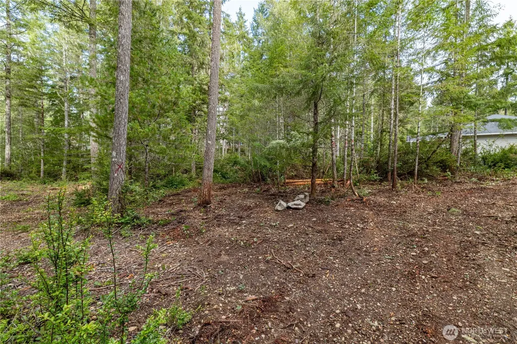 230 E Blackberry Lane Union WA 98592
