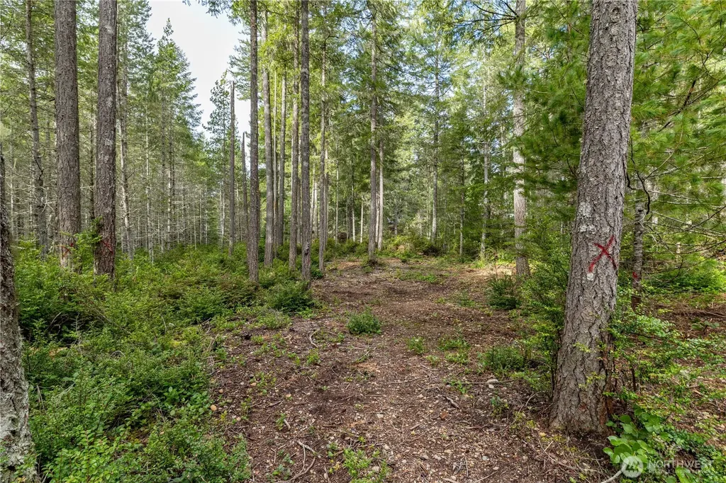 230 E Blackberry Lane Union WA 98592