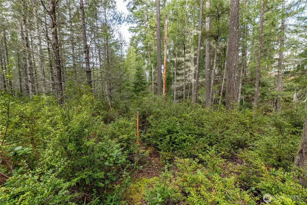 230 E Blackberry Lane Union WA 98592