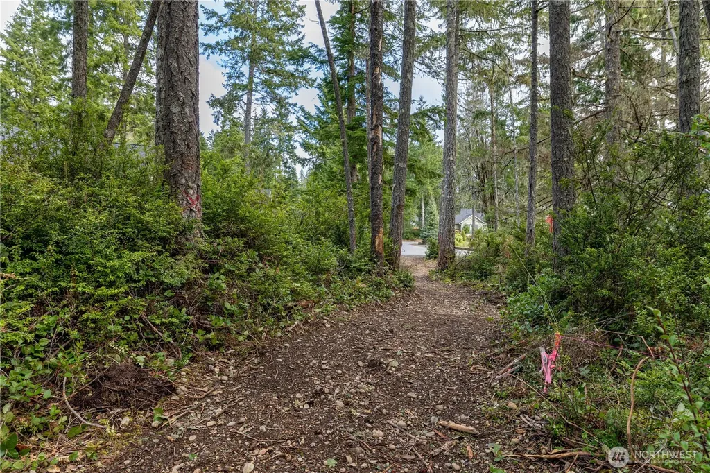 230 E Blackberry Lane Union WA 98592