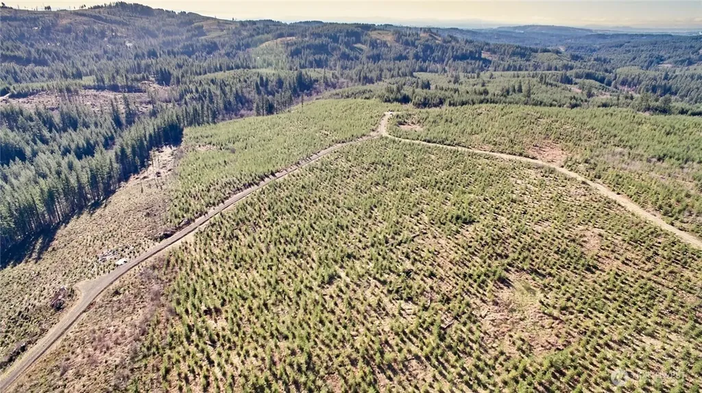 4 NE Jones Creek Road Camas WA 98607