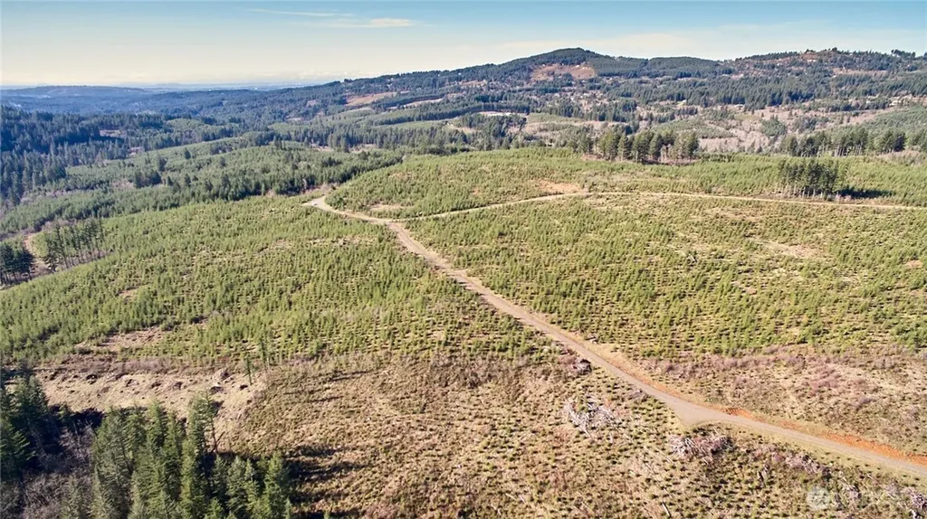 4 NE Jones Creek Road Camas WA 98607