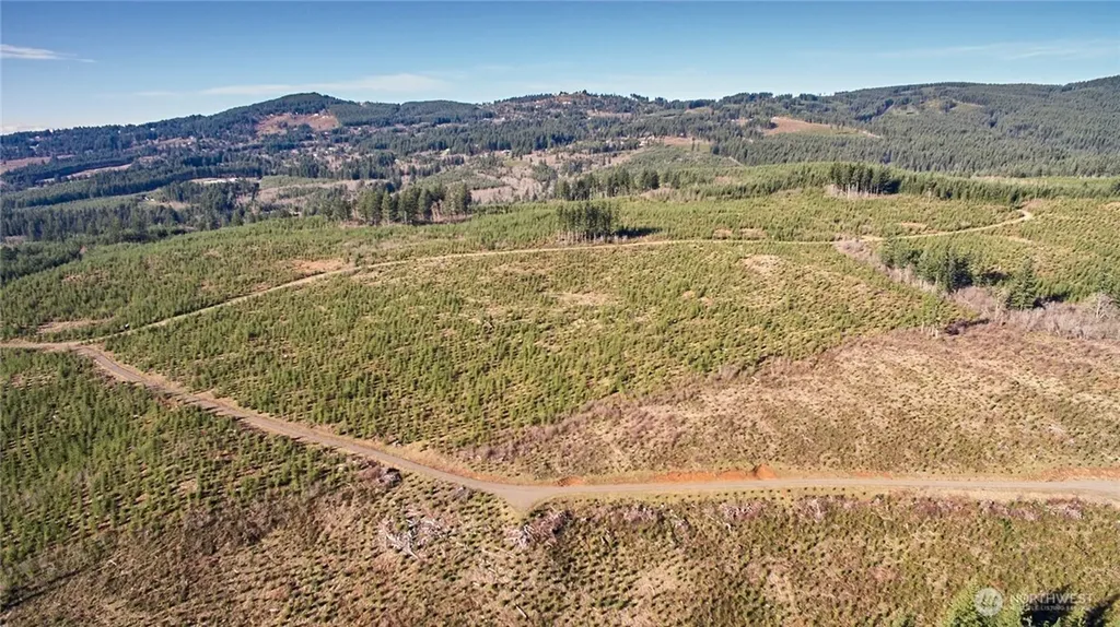 4 NE Jones Creek Road Camas WA 98607