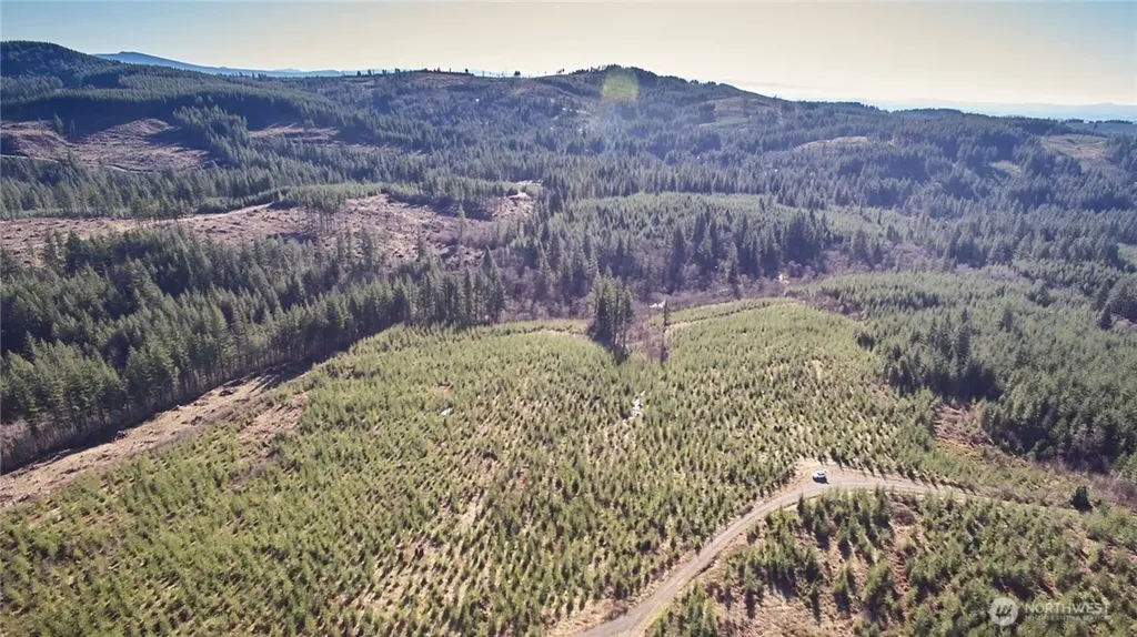 4 NE Jones Creek Road Camas WA 98607