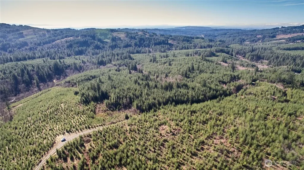 4 NE Jones Creek Road Camas WA 98607