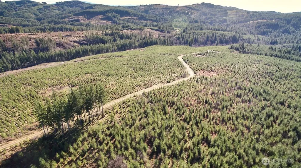 4 NE Jones Creek Road Camas WA 98607