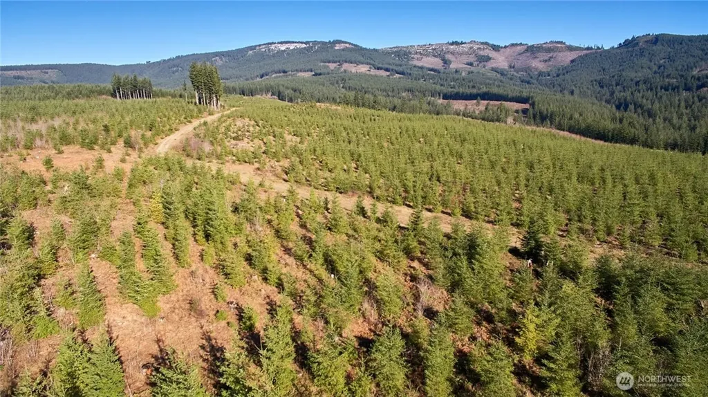 4 NE Jones Creek Road Camas WA 98607