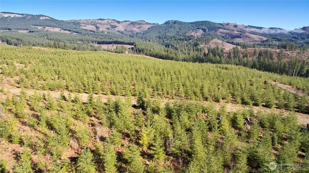 4 NE Jones Creek Road Camas WA 98607