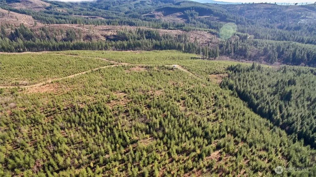 4 NE Jones Creek Road Camas WA 98607