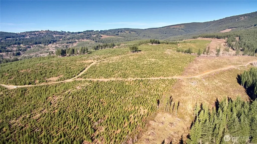 4 NE Jones Creek Road Camas WA 98607