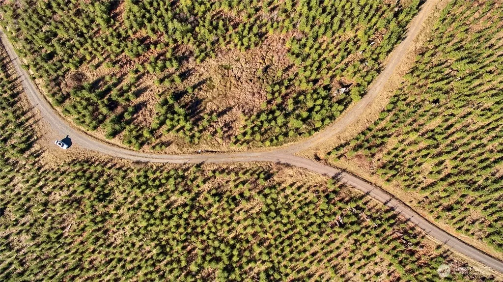 4 NE Jones Creek Road Camas WA 98607