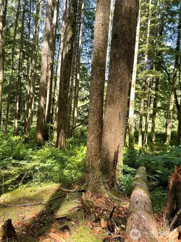 0 S Shore Drive Mount Vernon WA 98274