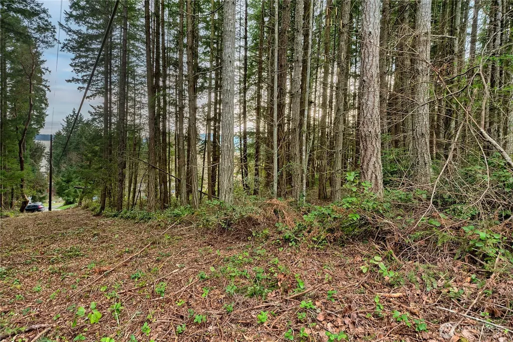 3 Huckleberry Lane Port Ludlow WA 98365