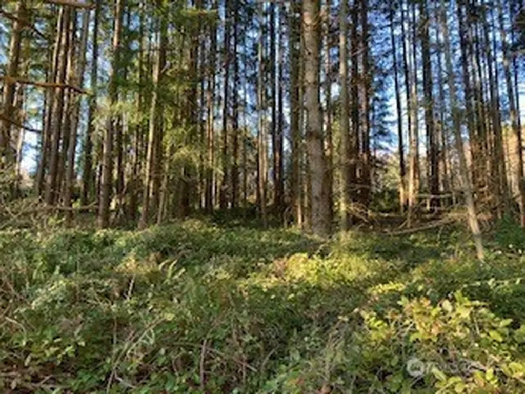 3 Huckleberry Lane Port Ludlow WA 98365