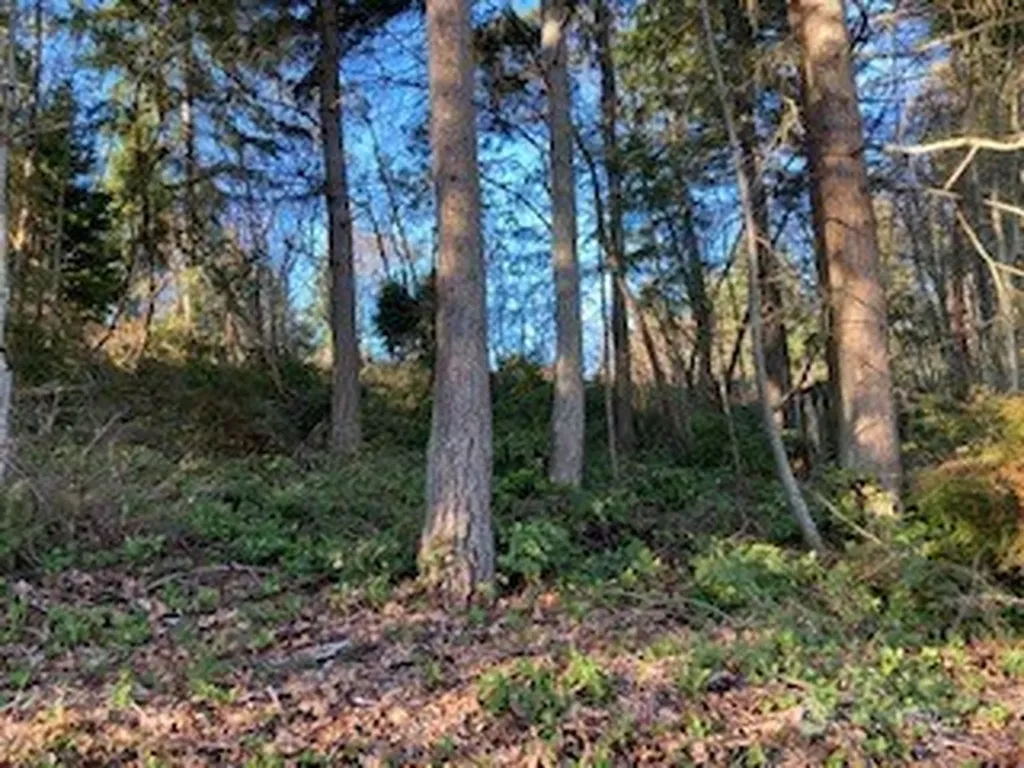 2 Huckleberry Lane Port Ludlow WA 98365