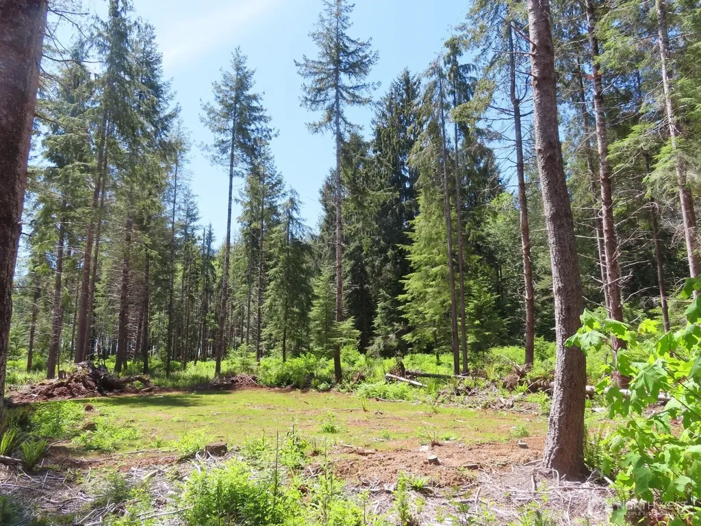 1515 Kirkpatrick Road Hoquiam WA 98550