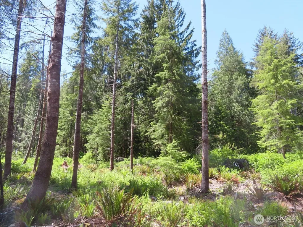 1515 Kirkpatrick Road Hoquiam WA 98550