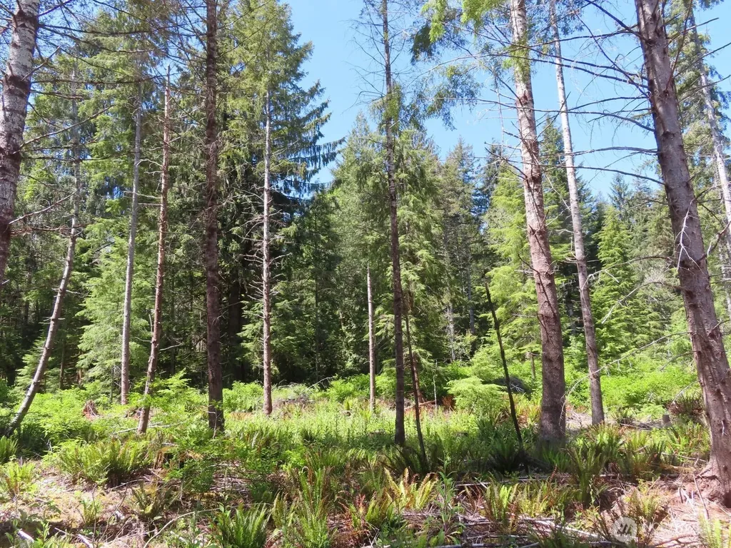1515 Kirkpatrick Road Hoquiam WA 98550