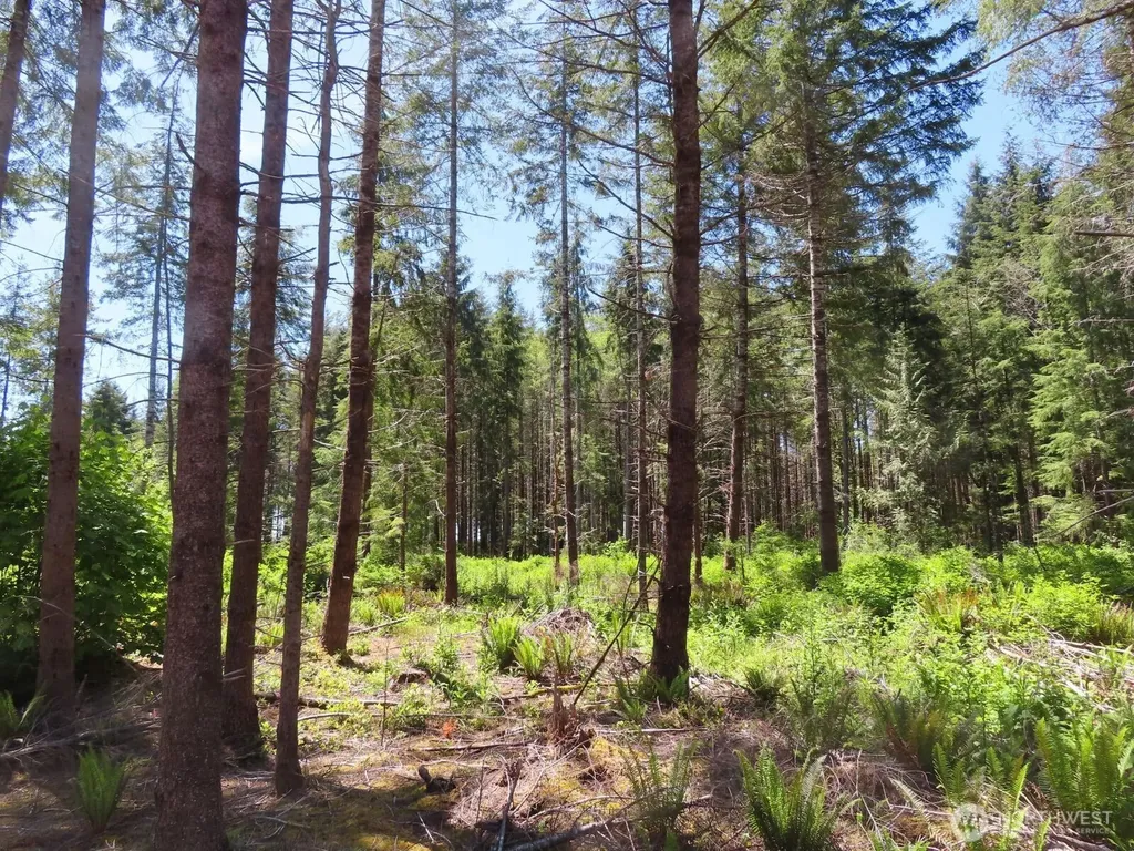 1515 Kirkpatrick Road Hoquiam WA 98550