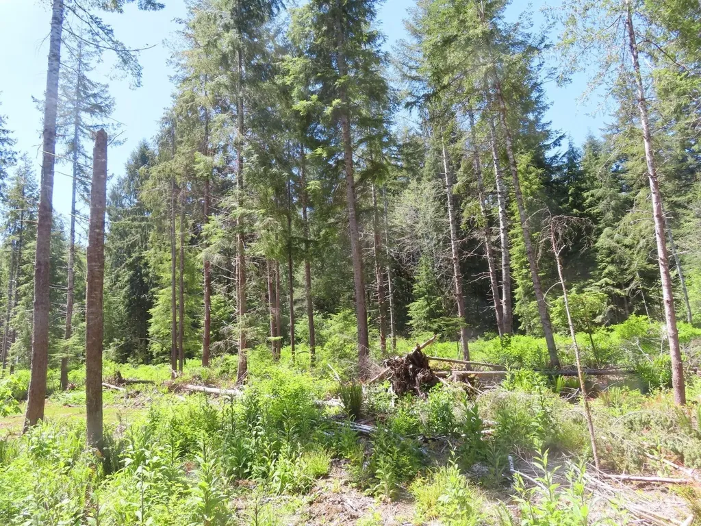 1515 Kirkpatrick Road Hoquiam WA 98550
