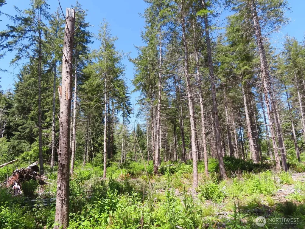 1515 Kirkpatrick Road Hoquiam WA 98550