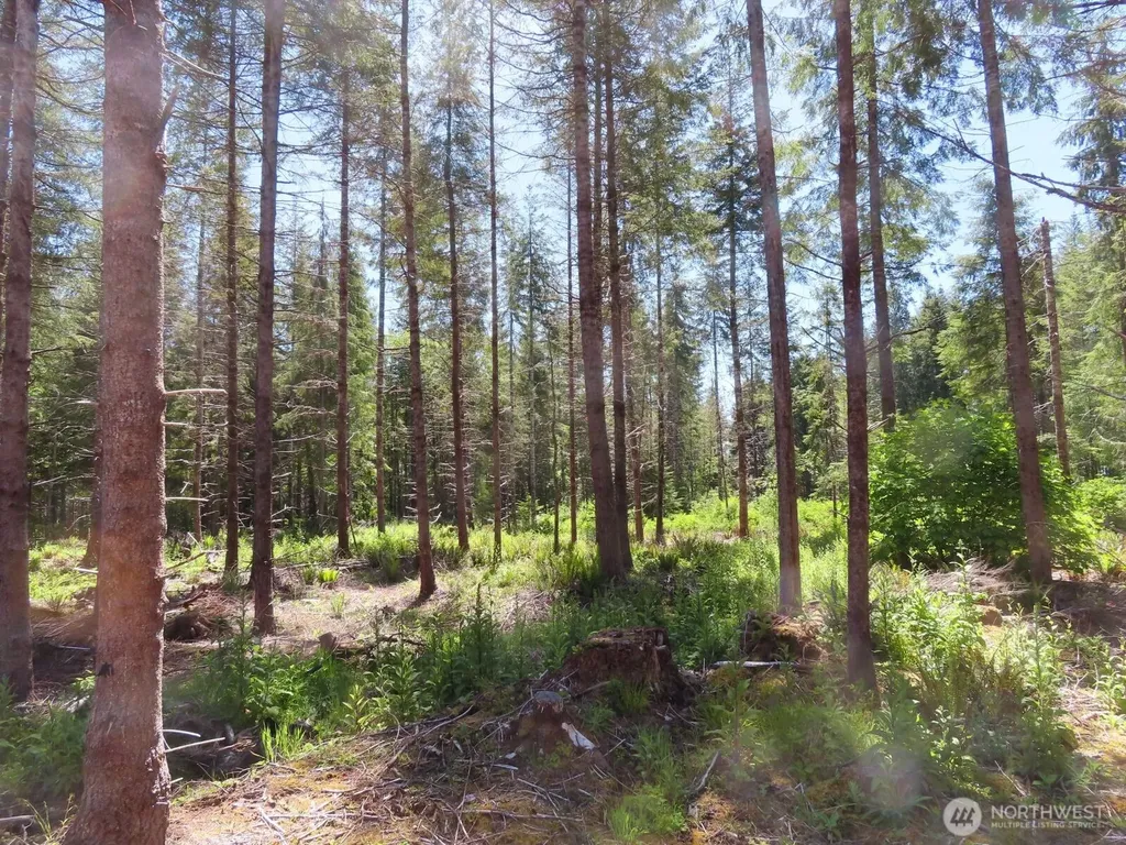 1515 Kirkpatrick Road Hoquiam WA 98550