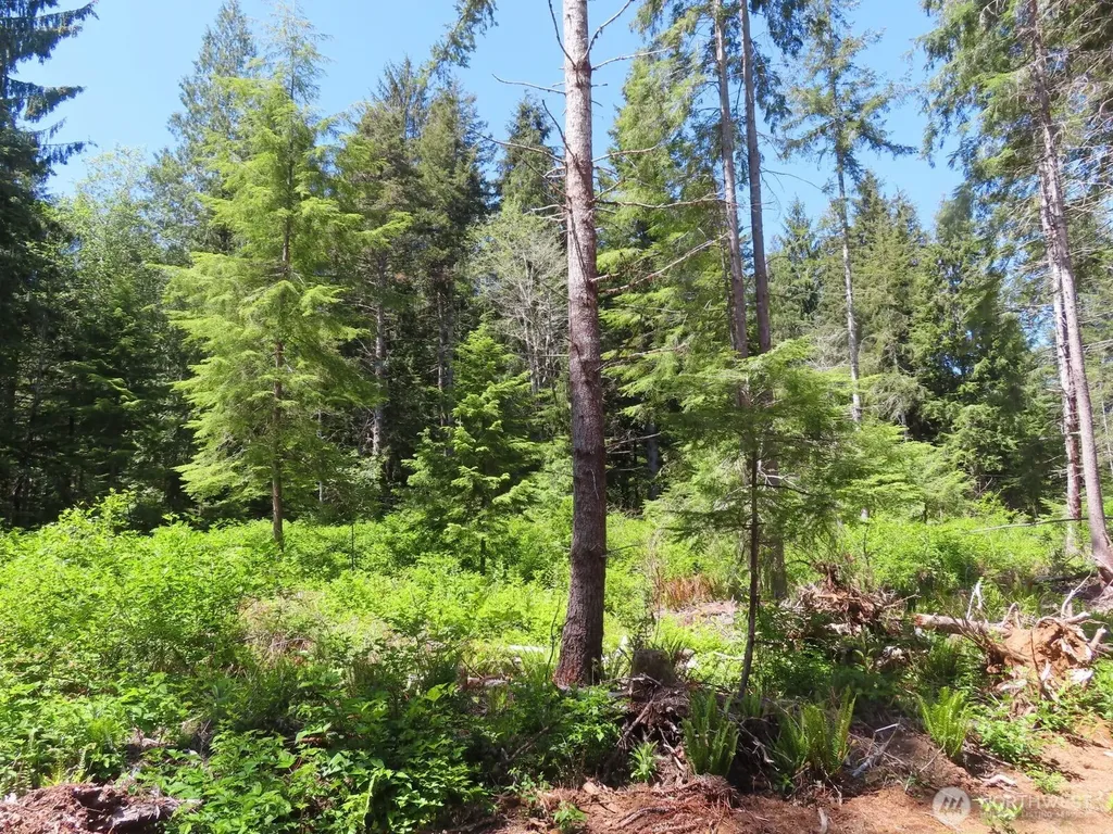 1515 Kirkpatrick Road Hoquiam WA 98550