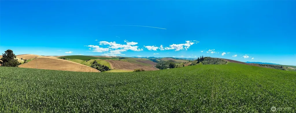 0 Biscuit Ridge Road Dixie WA 99329