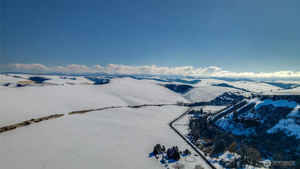 0 Biscuit Ridge Road Dixie WA 99329