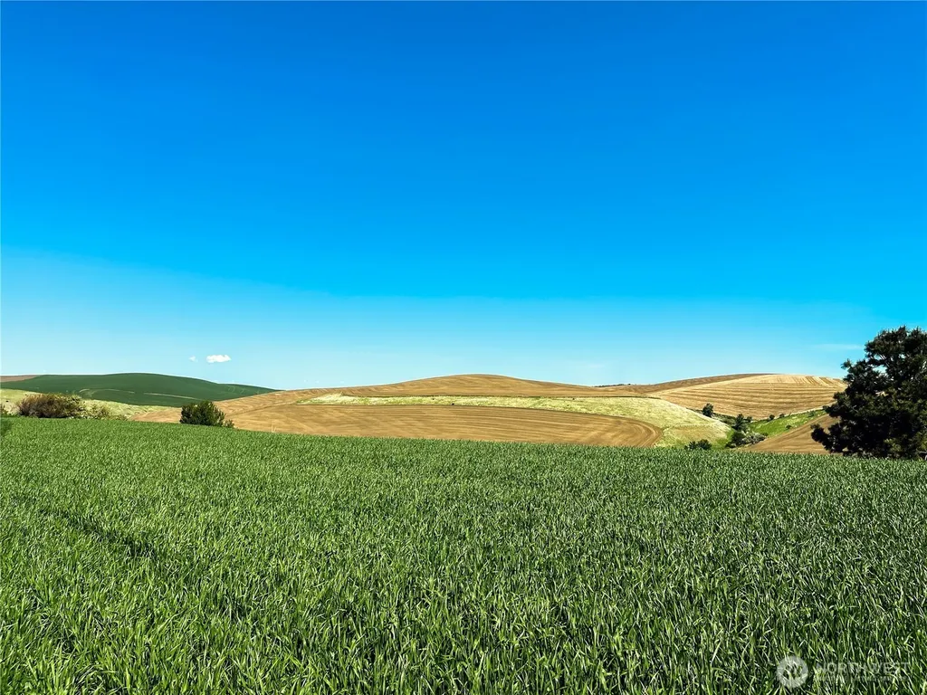 0 Biscuit Ridge Road Dixie WA 99329