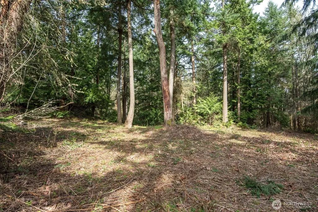 0 Hummingbird Lane Anacortes WA 98221